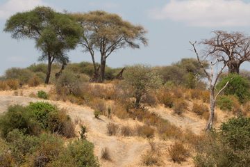IMG_5997