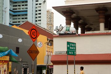 IMG_9675