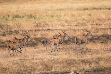 IMG_7198