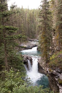IMG_0558