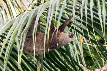 IMG_5371