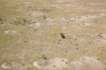 P-IMG_7036-2