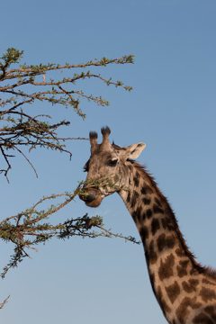 IMG_7258