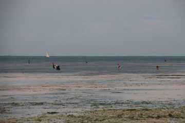 IMG_7814