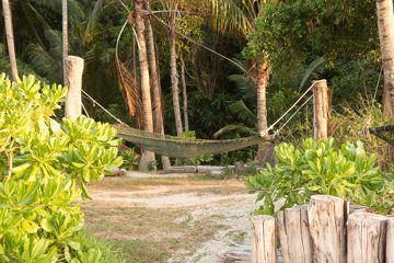 IMG_9627