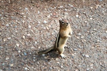 IMG_0220