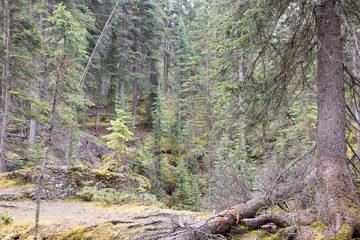 IMG_0011