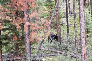 IMG_0082