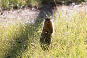 IMG_0458