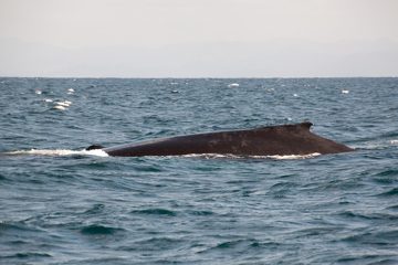 05032013-143.jpg