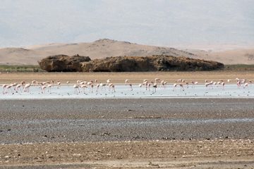 IMG_6904