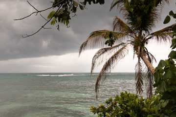 IMG_5497