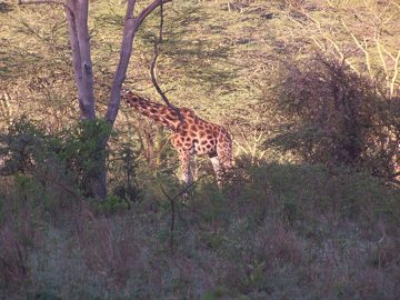 100_1460.jpg