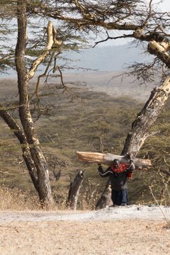 IMG_6671