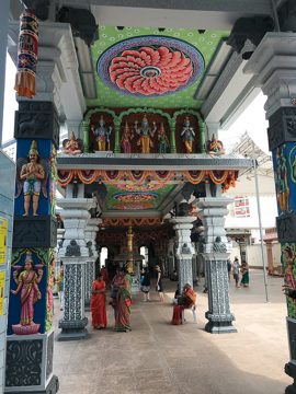 IMG_2882
