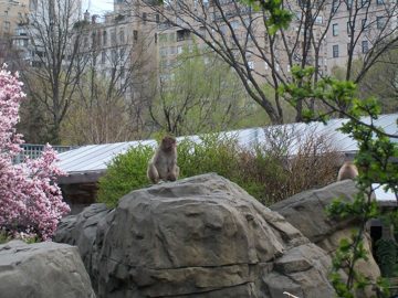 100_0458.jpg
