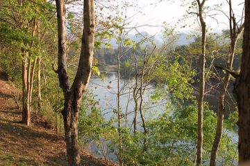 IMG_0568.jpg