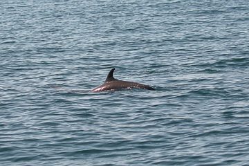 IMG_8820