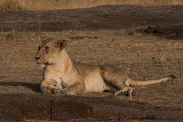 IMG_7276