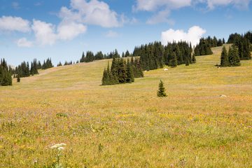 IMG_9916
