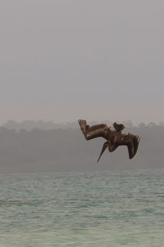 IMG_5490
