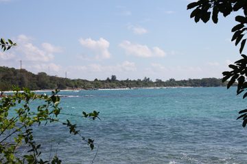 IMG_0721.jpg