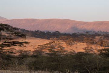 IMG_6681