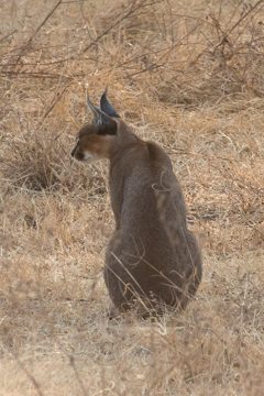IMG_6470