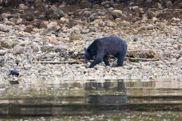 IMG_0844