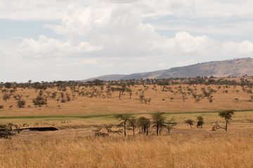 IMG_7105