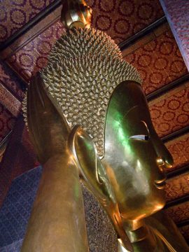 100_3341.jpg