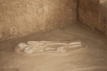 IMG_0604.jpg