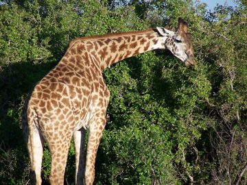 100_1569.jpg