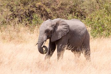 IMG_5965