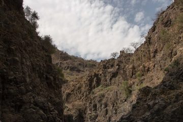 IMG_6993