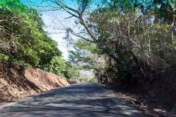 29022012-139.jpg