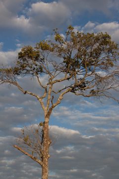 P-IMG_6827-2