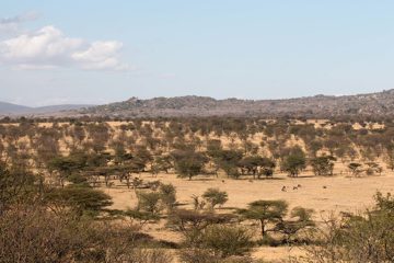 IMG_7240