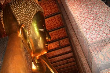 IMG_0154.jpg