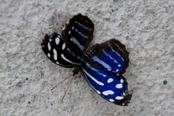 25022012-10.jpg