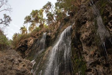 IMG_6989