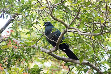 IMG_8704