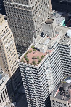 IMG_1312.jpg