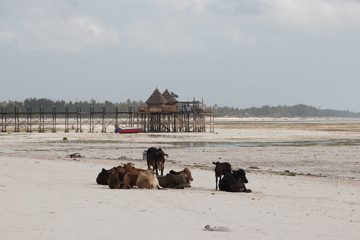 IMG_7882