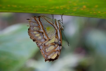 19022012-47.jpg