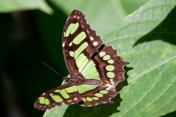 19022012-41.jpg