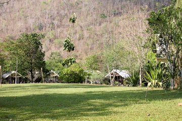 IMG_0445.jpg