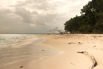 IMG_5527