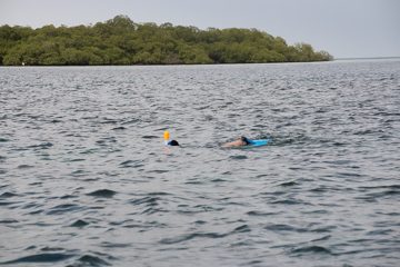 IMG_5426