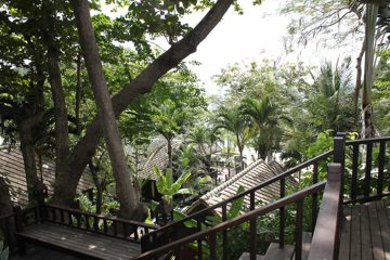 IMG_0679.jpg